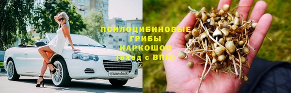 твердый Балахна